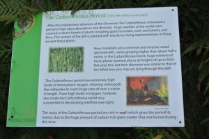 Information board on the Carboniferous.