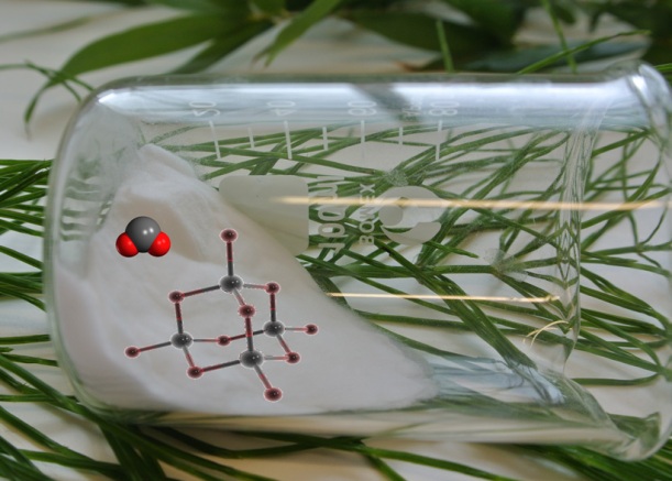 A beaker of silica (silicon dioxide) on a bed of horsetail, Equisetum arvense. Also showing the molecular structure of silicon dioxide and the tetrahedral arrangement adopted in the solid state.